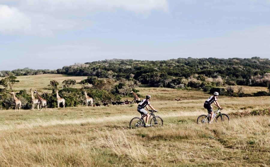  Bedroom Property for Sale in Royalston Residential Estate and Wildlife Reserve Eastern Cape